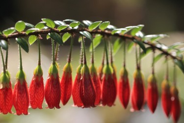 绍兴诸暨零用贷短借：轻松解决临时资金需求