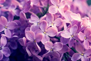 绍兴诸暨企业急用钱贷款攻略：快速融资解燃眉之急